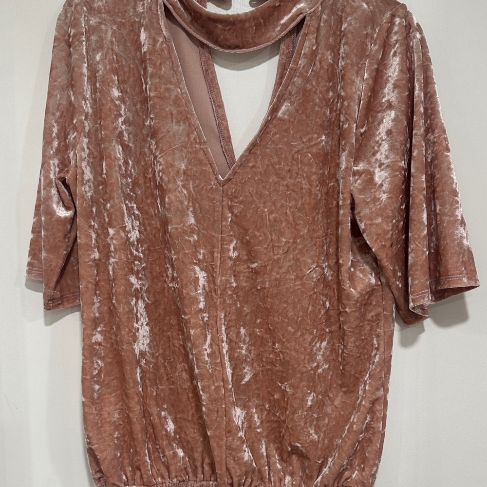 Veronica M Velvet Top in Blush Pink 0030